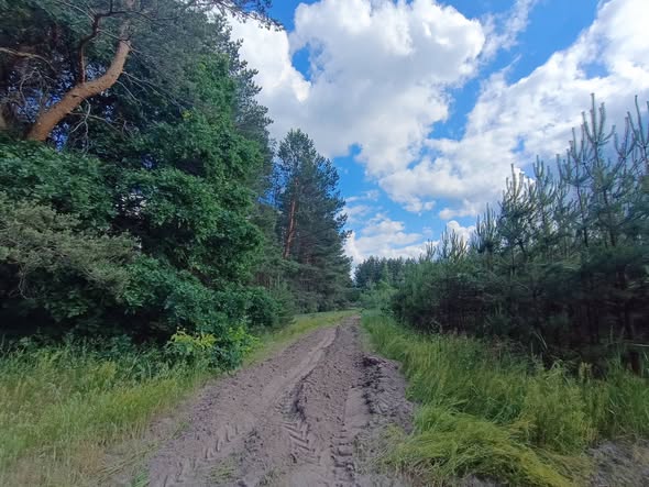 Оновлення мінералізованих смуг